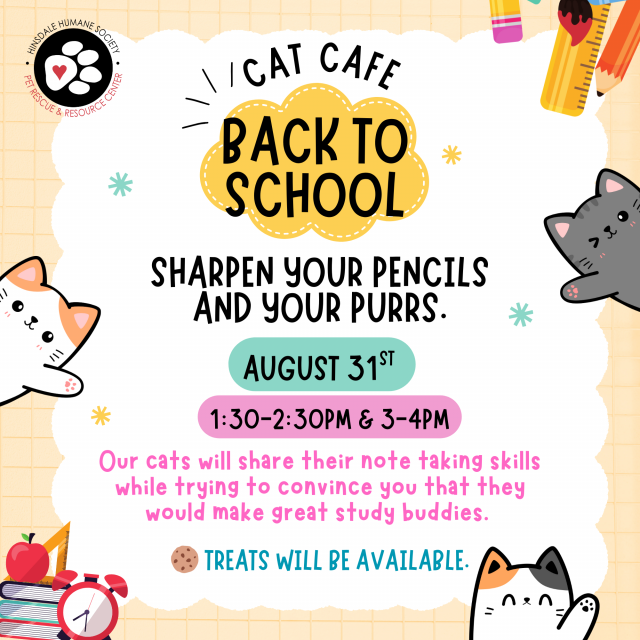 Cat cafe - back to school 0831 (square version)