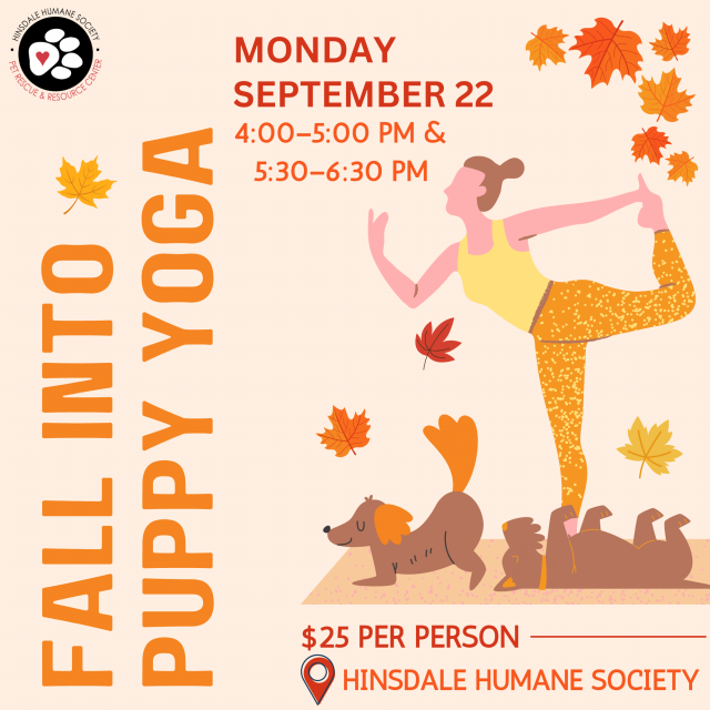 Fall into puppy yoga - sep 22 (square)