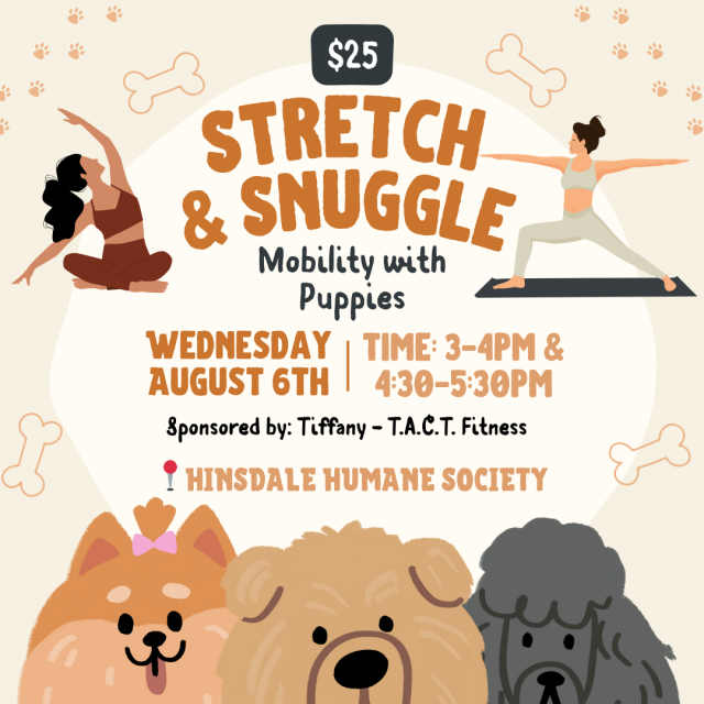 Stretch  snuggle -  august 6th square (1)