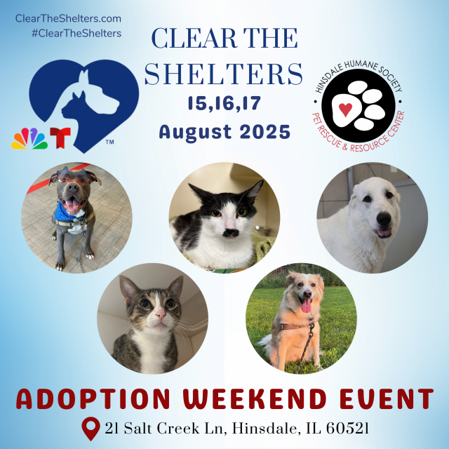 Cts - adoption weekend event - square version