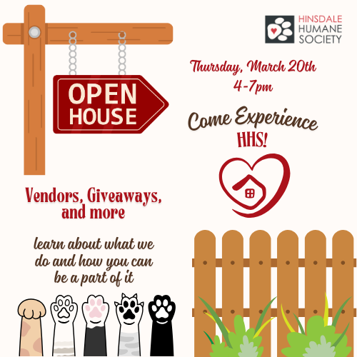 Open house carousel sq