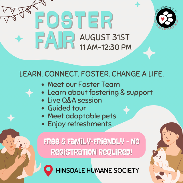 Foster fair - aug 31st - square version