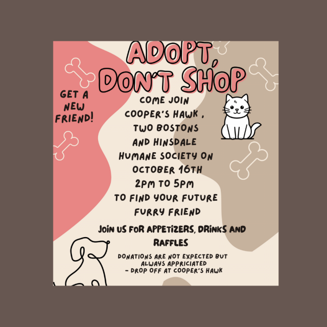 Treat bag - listing