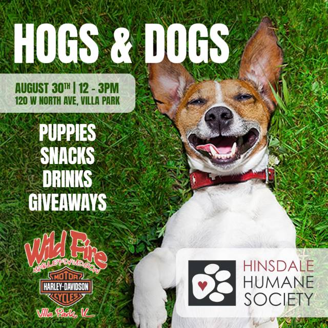 Hogsanddogs1080x1080