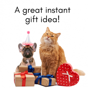 Sponsor a Homeless Animal
