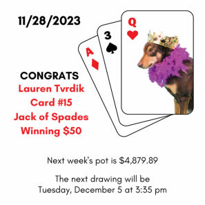 Queen of Hearts