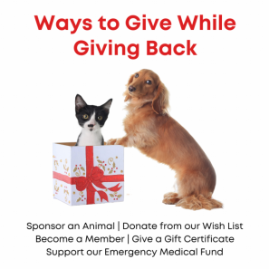 Ways to Give
