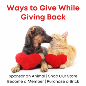 Ways to Give