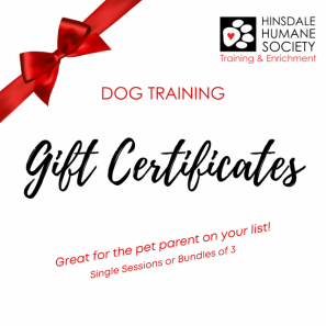 Gift Certificate for Training