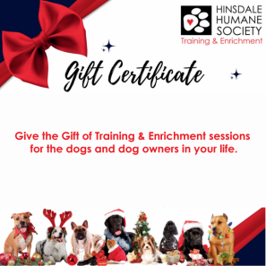 Holiday Gift! Training Certificate