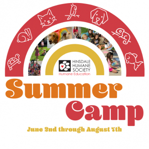 Summer Camp 2025